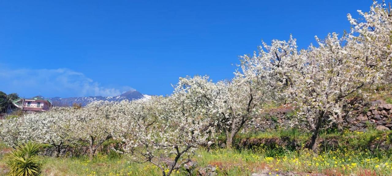 Dimora dell' Etna Luxe Bed and Breakfast Milo Esterno foto