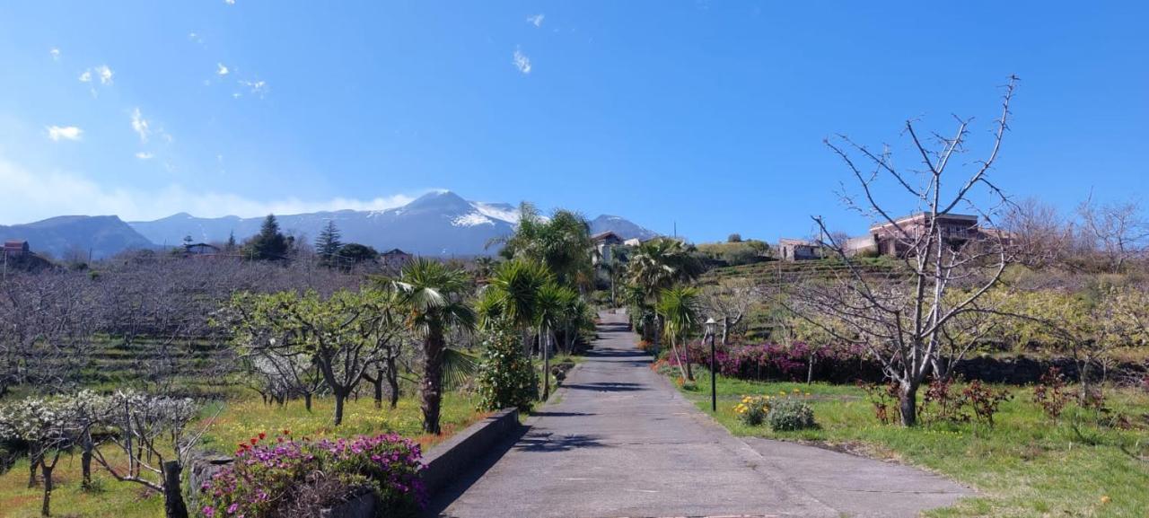 Dimora dell' Etna Luxe Bed and Breakfast Milo Esterno foto